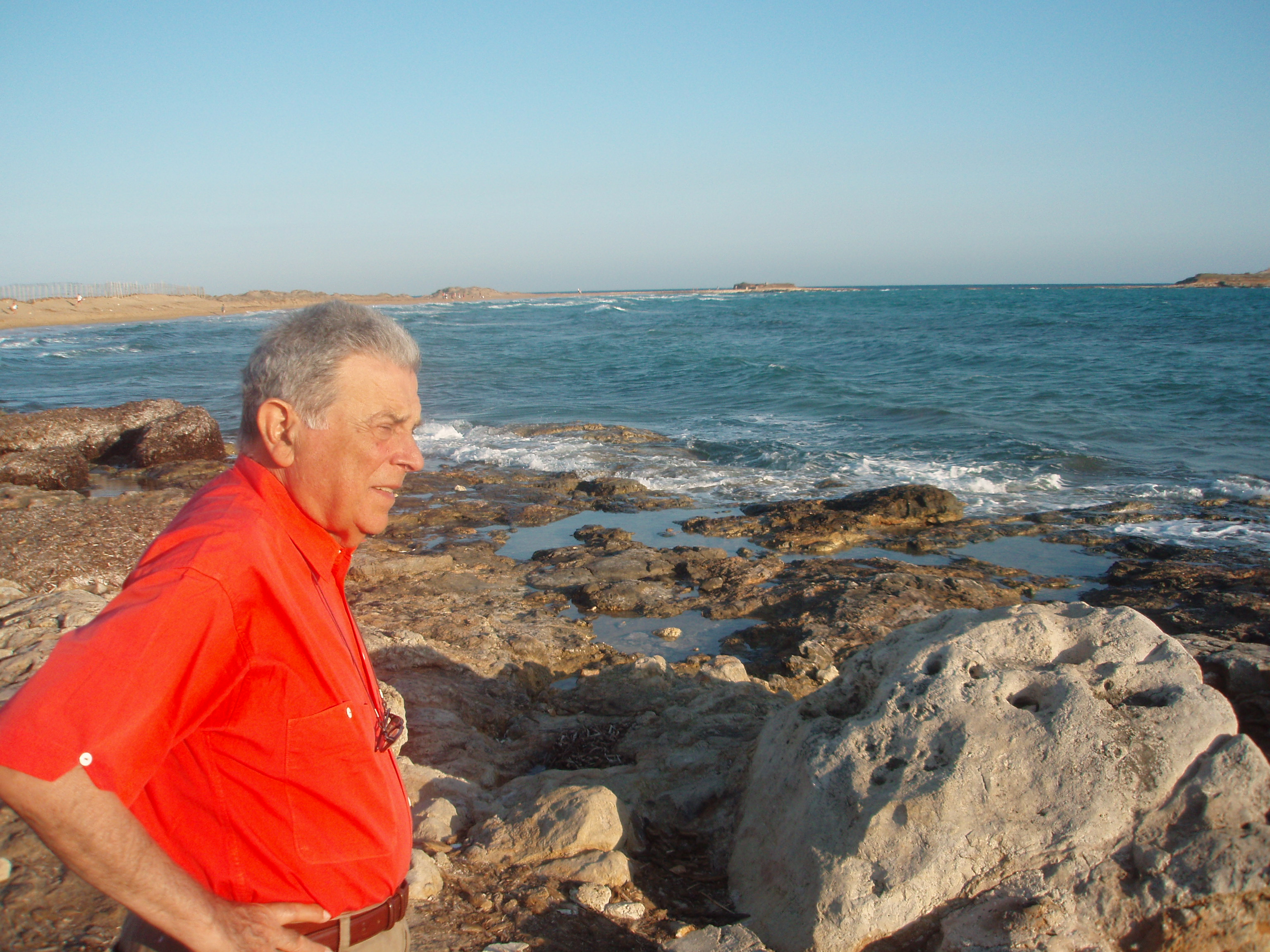 Image 7 Paolo Scirpa