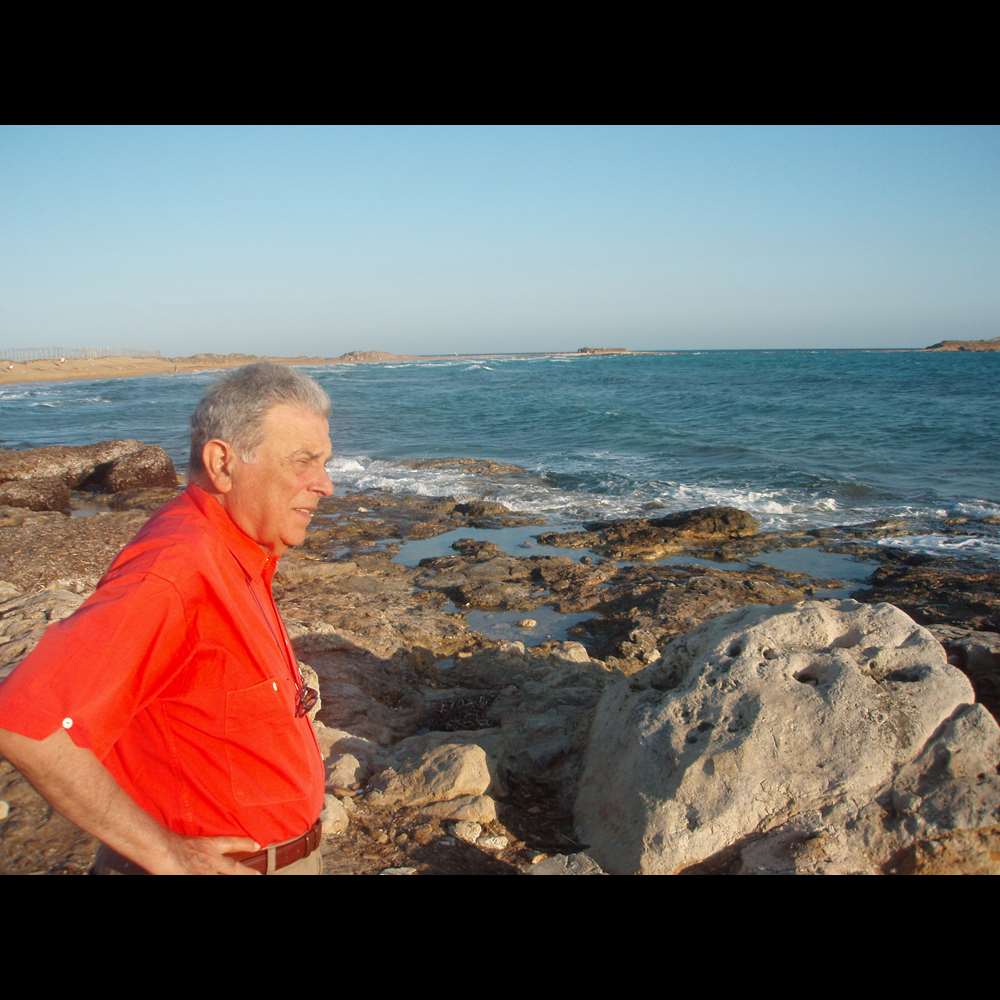 Image 7 Paolo Scirpa