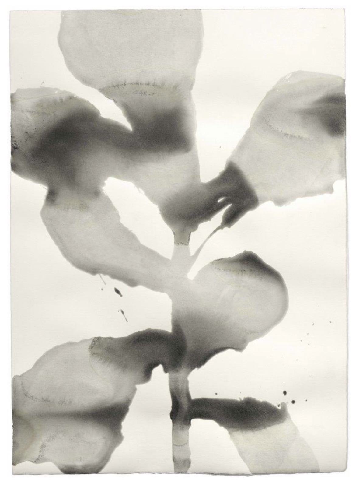 Image 5 Christiane Löhr