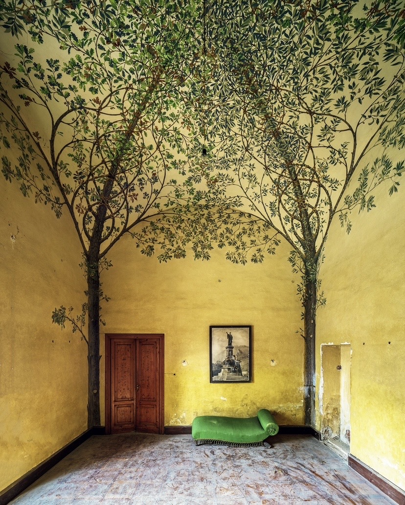 Image 5 Nicola Bertellotti