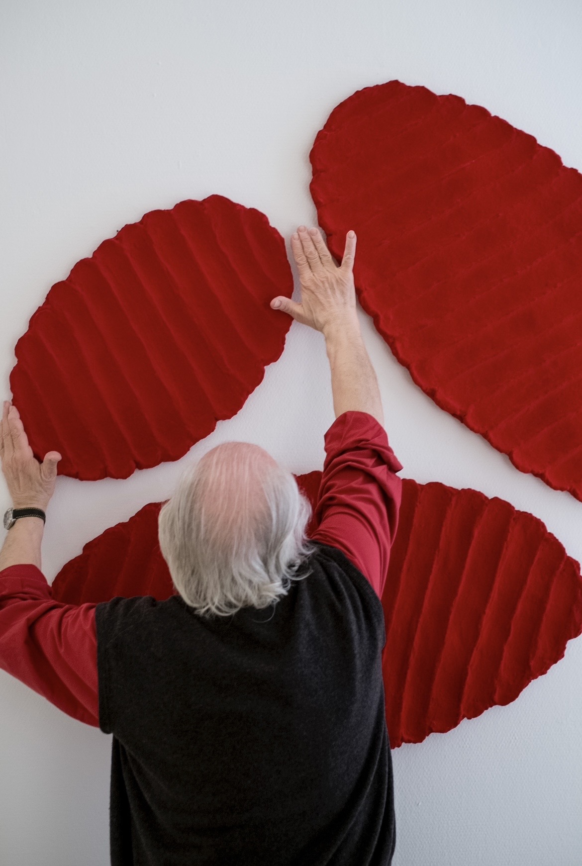 Image 2 Pino Pinelli