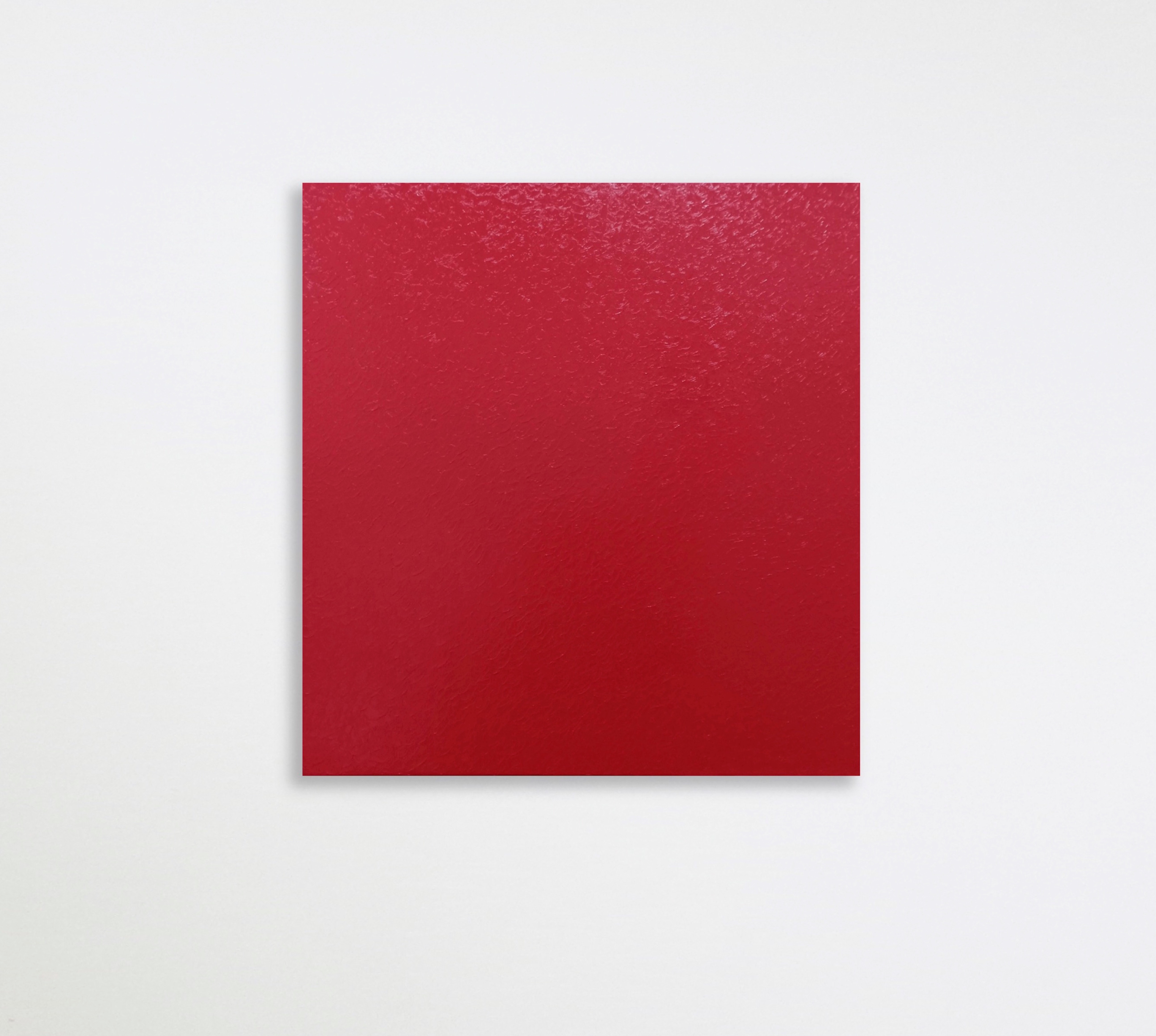 Image 6 Sonia Costantini