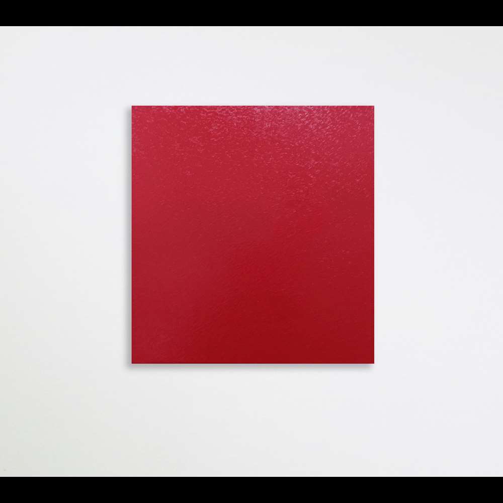 Sonia Costantini Identità d'Artista