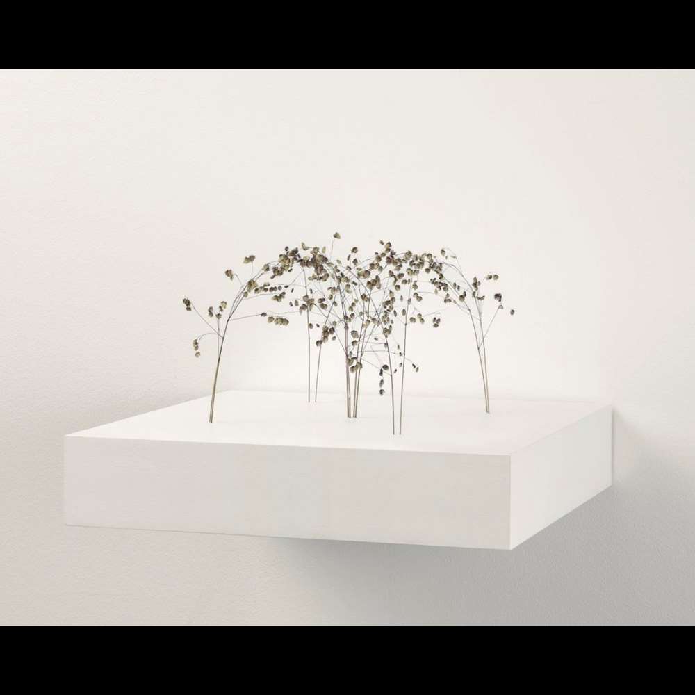 Image 4 Christiane Löhr
