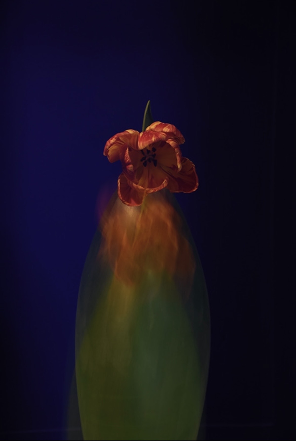 Image 3 Edoardo Romagnoli