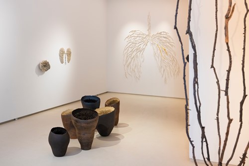 B42D1A1B DB1A 40AC B5B7 74B8A225AEFF