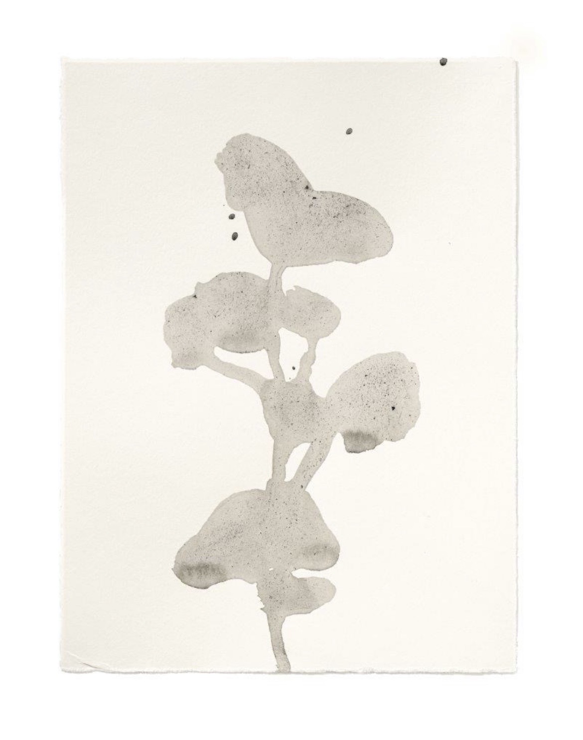 Image 6 Christiane Löhr