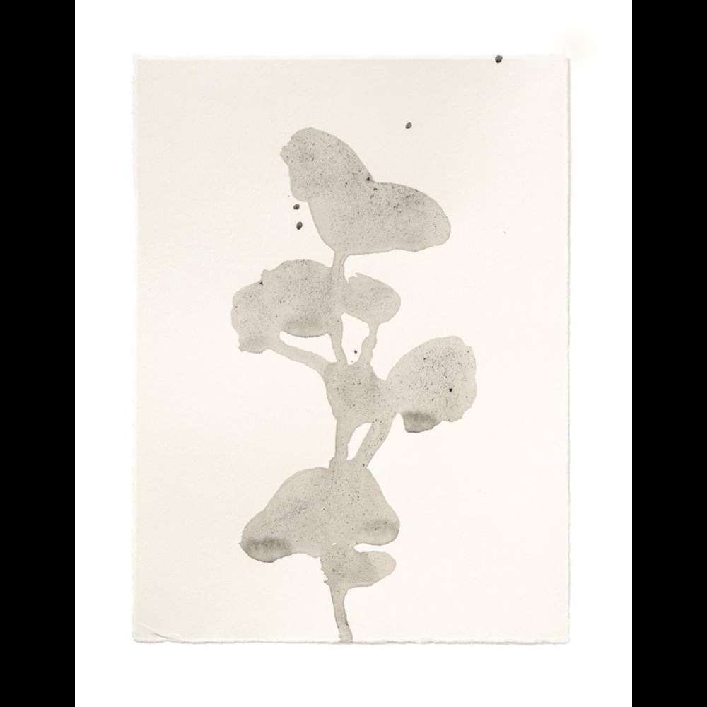 Image 6 Christiane Löhr