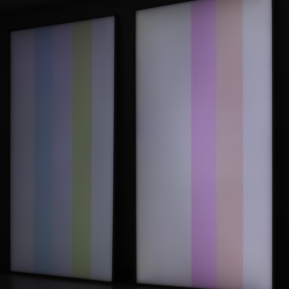 Image 5 Davide Maria Coltro